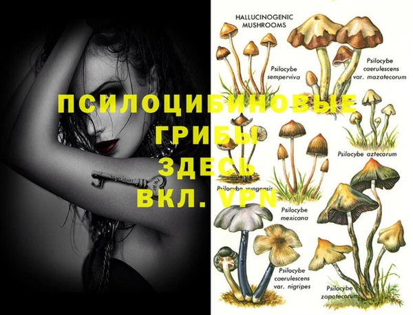 мескалин Верхнеуральск