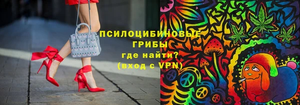 стаф Бронницы