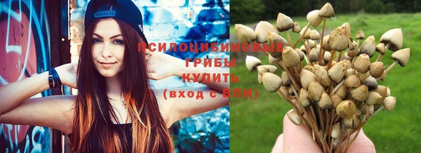 MESCALINE Бородино